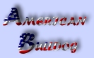 American Bulldog