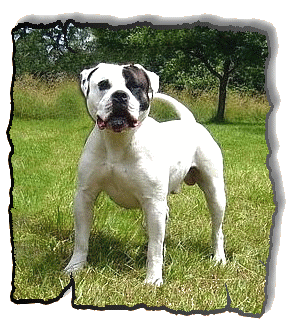 Oskar