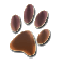 Pfote
