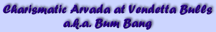 Bum Bang