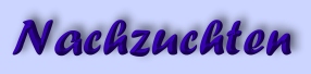 Nachzuchten#